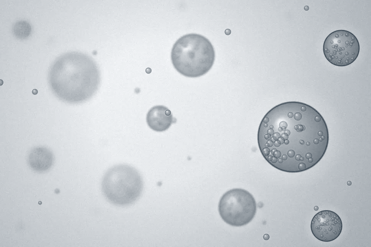 Cell Types _ Organoids illustration