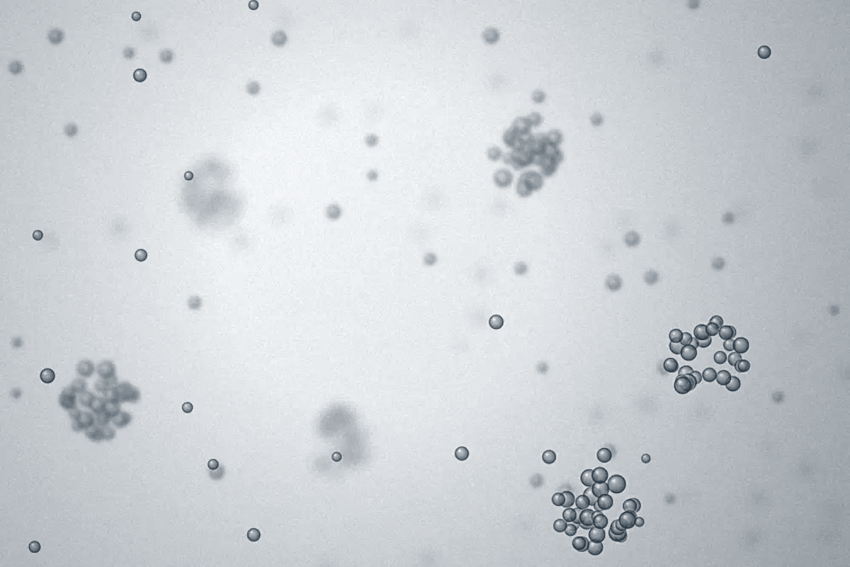 Cell Types _ T Cells illustration